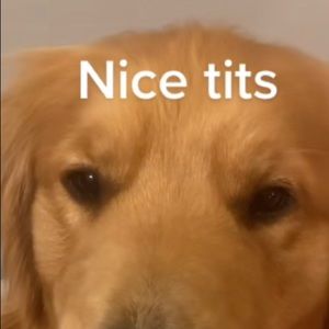 Meet your Posher, Landon